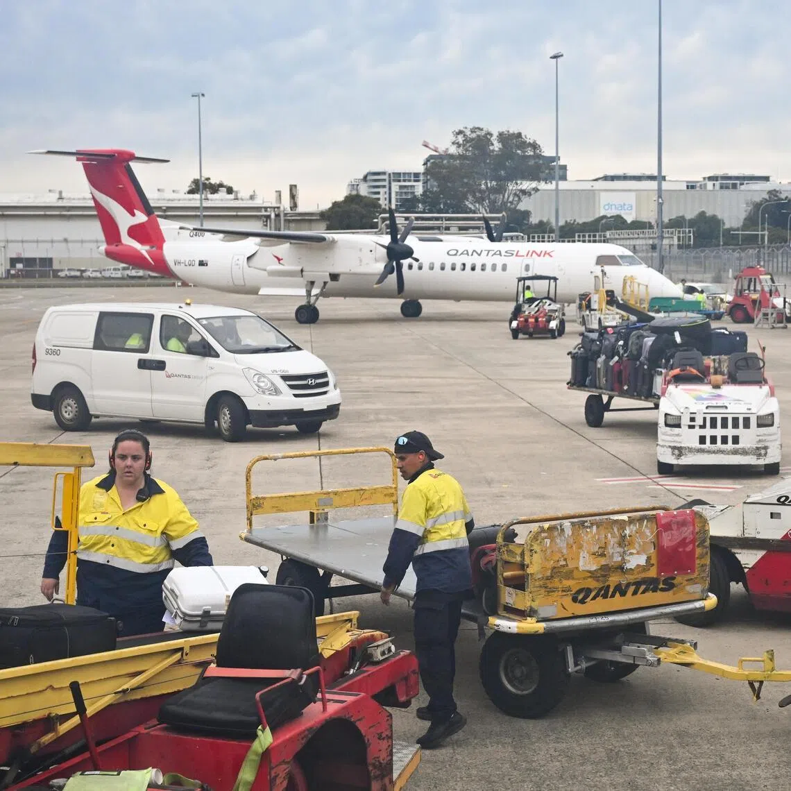 The reptiles were posted in 15 packages between 2018 and 2023.