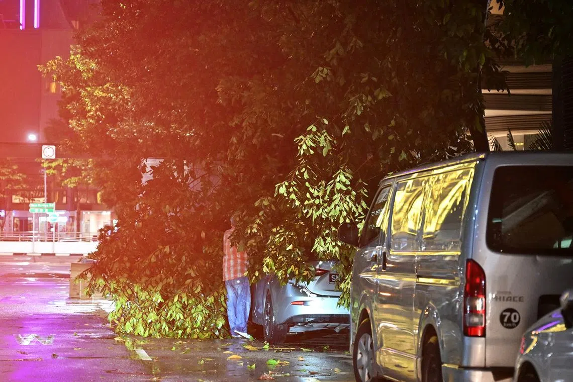 A vehicle is struck by a fallen tree along Upper Hokien Street on Sep 17, 2024.