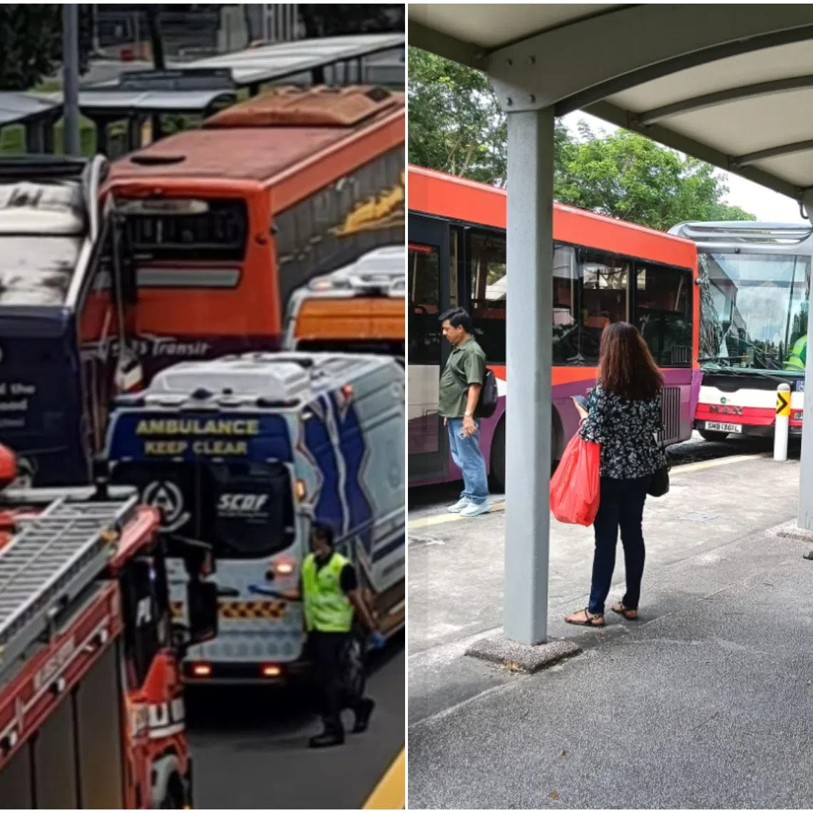 A Tower Transit bus driver was suspended after a road accident involving two buses.