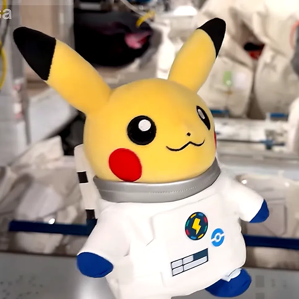 The plush space traveller was at the orbiting laboratory from April 11 to June 17 with crew members from the European Space Agency.