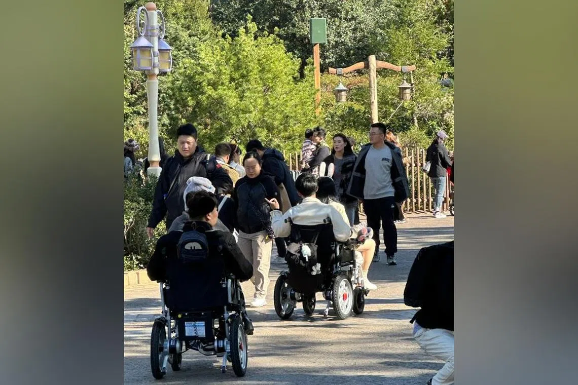 Visitors to Shanghai Disneyland using electric wheelchairs to make their way around the theme park.