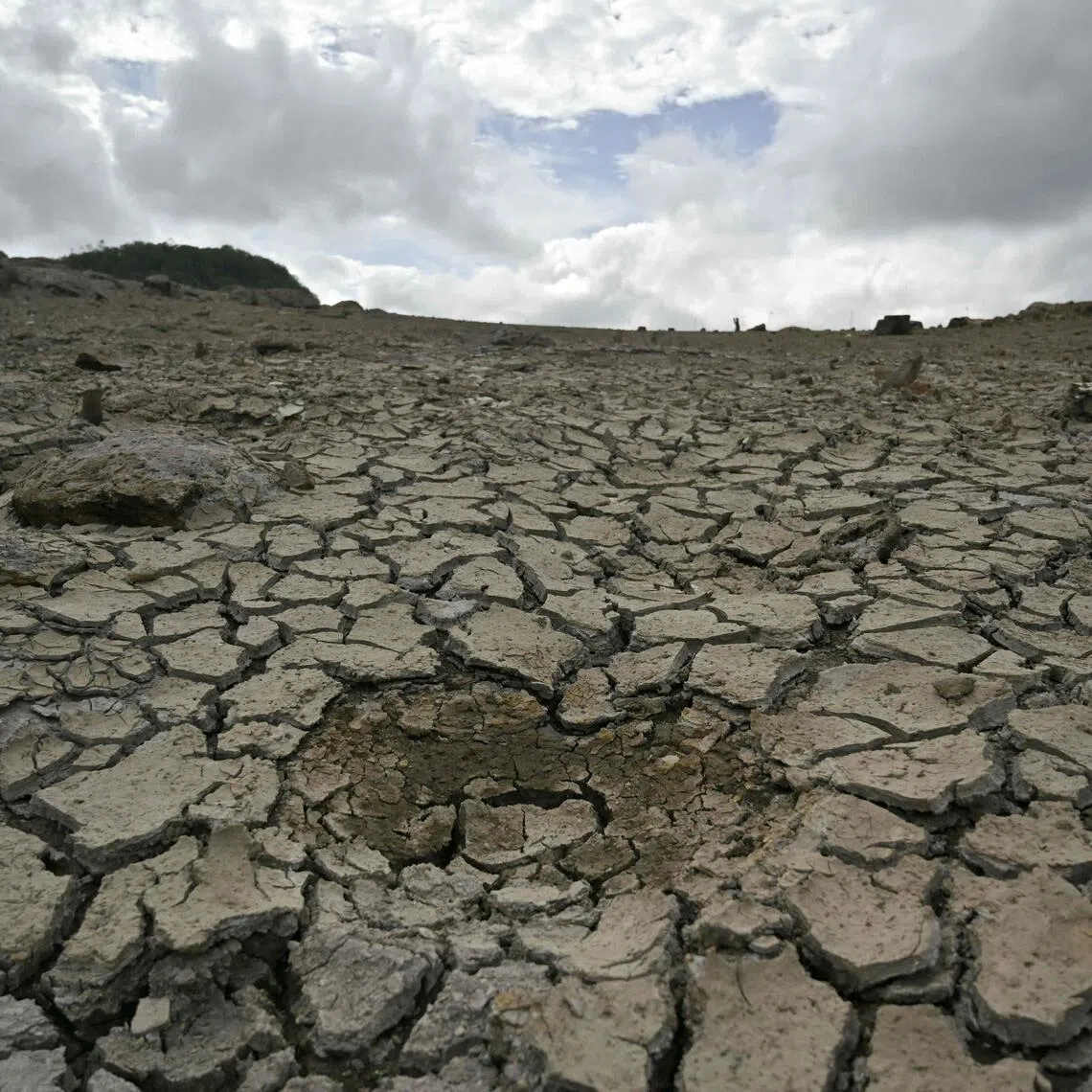 The El Nino weather pattern is seen bringing severe droughts in places like Honduras in South America.