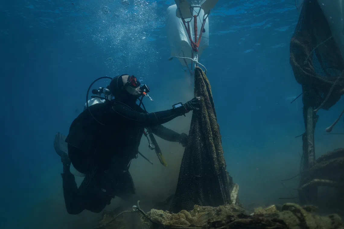Volunteer divers from the environmental group Aegean Rebreath use lift bags to raise a fish-farming net from the seabed during an underwater cleanup off the islet of Sapientza, near Methoni, in southern Greece, October 11, 2025. REUTERS/Stelios Misinas