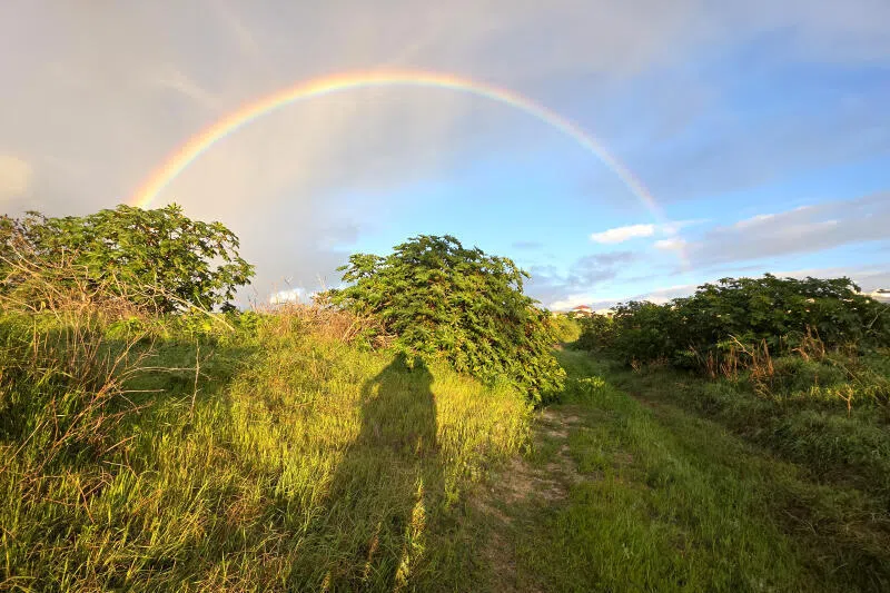 The writer enjoys the verdant green land and a beautiful rainbow in her new neighbourhood.