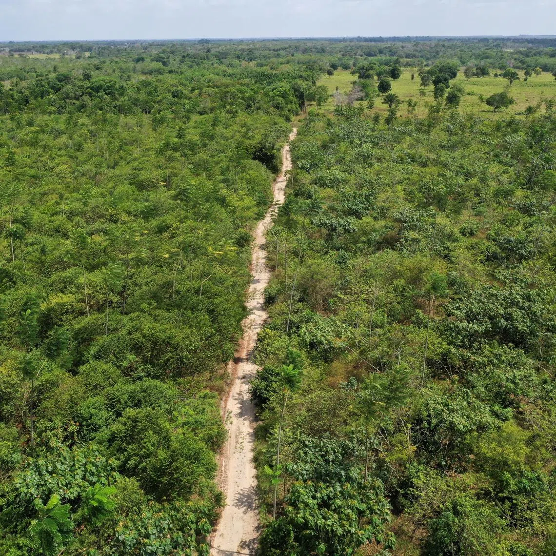 A drone view of the Turmalina Farm in Mae do Rio, Para, Brazil, on Sept 29.