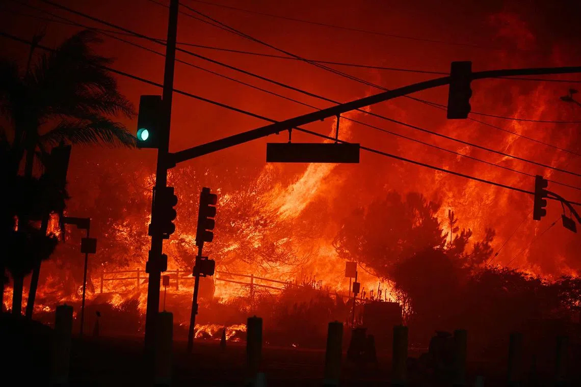 Flames burning at an intersection in Pacific Palisades, California on Jan 7, 2025. A fast-moving wildfire in a Los Angeles suburb burned buildings and sparked panic, with thousands ordered to evacuate. Frightened residents abandoned their cars on one of the only roads in and out of the upscale Pacific Palisades area, fleeing on foot from the blaze engulfing an area crammed with multi-million dollar homes in the Santa Monica Mountains. 