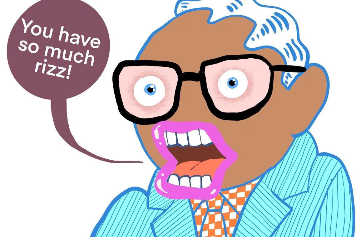 An attribute that is charming or desirable can be used as an adjective to rizz.