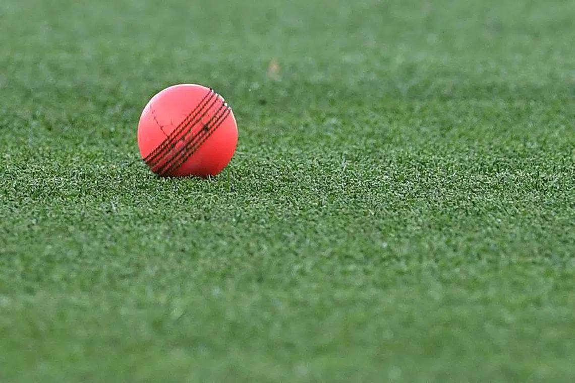 Cricket - Ashes - Second Test - Australia v England - Adelaide Oval, Adelaide, Australia - December 16, 2021 General view of the pink ball REUTERS/Morgan Sette/ File Photo
