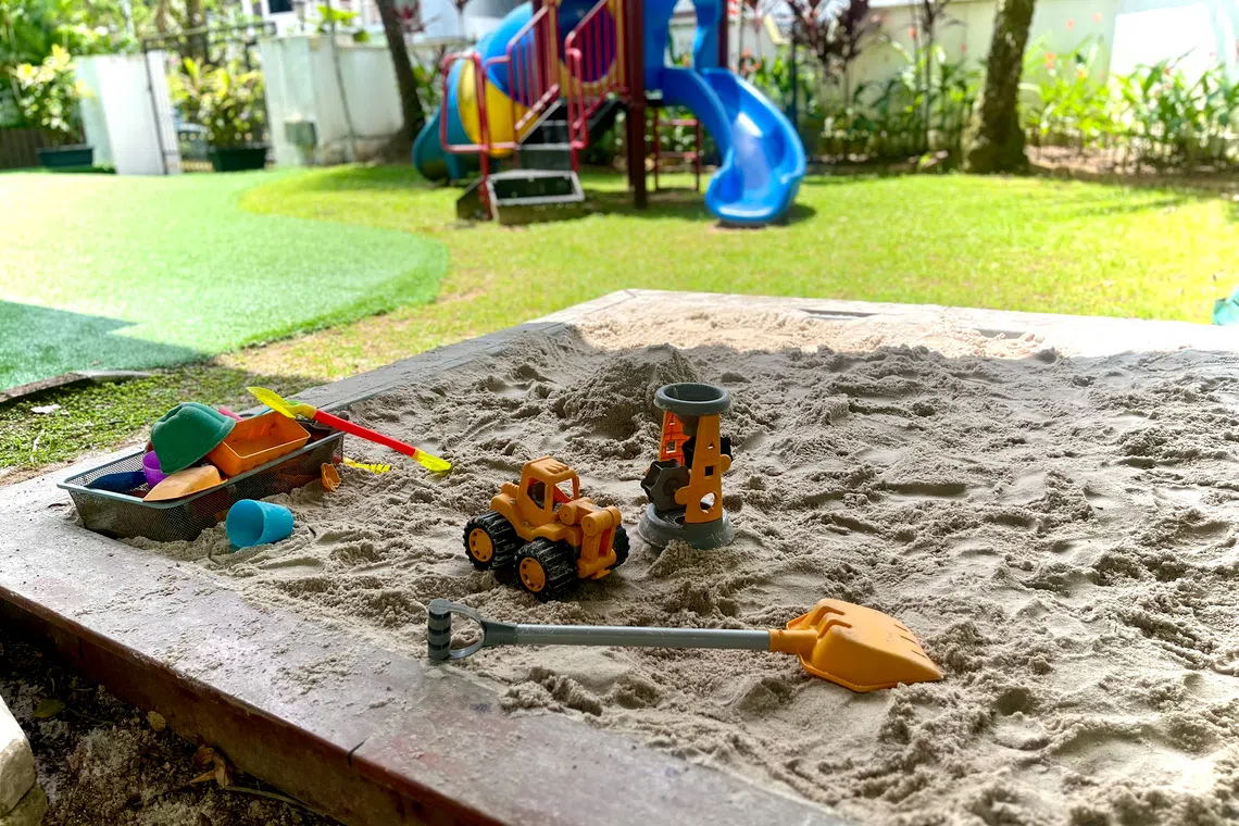 Adventure Tree Preschool, a private operator, runs four campuses in Singapore, with a focus on nature-inspired, play-based learning.