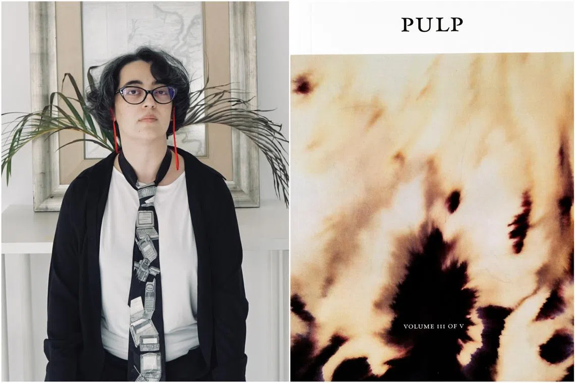 Singaporean artist and writer Shubigi Rao wrote Pulp III: An Intimate Inventory Of The Banished Book..