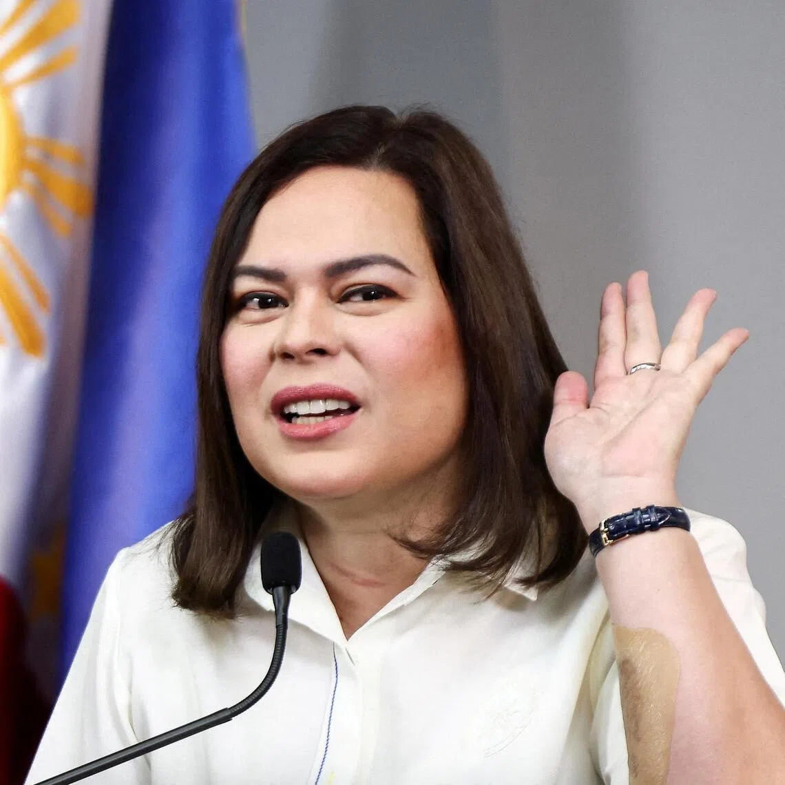 Vice-President Sara Duterte is accused of having concealed wealth and undeclared assets.