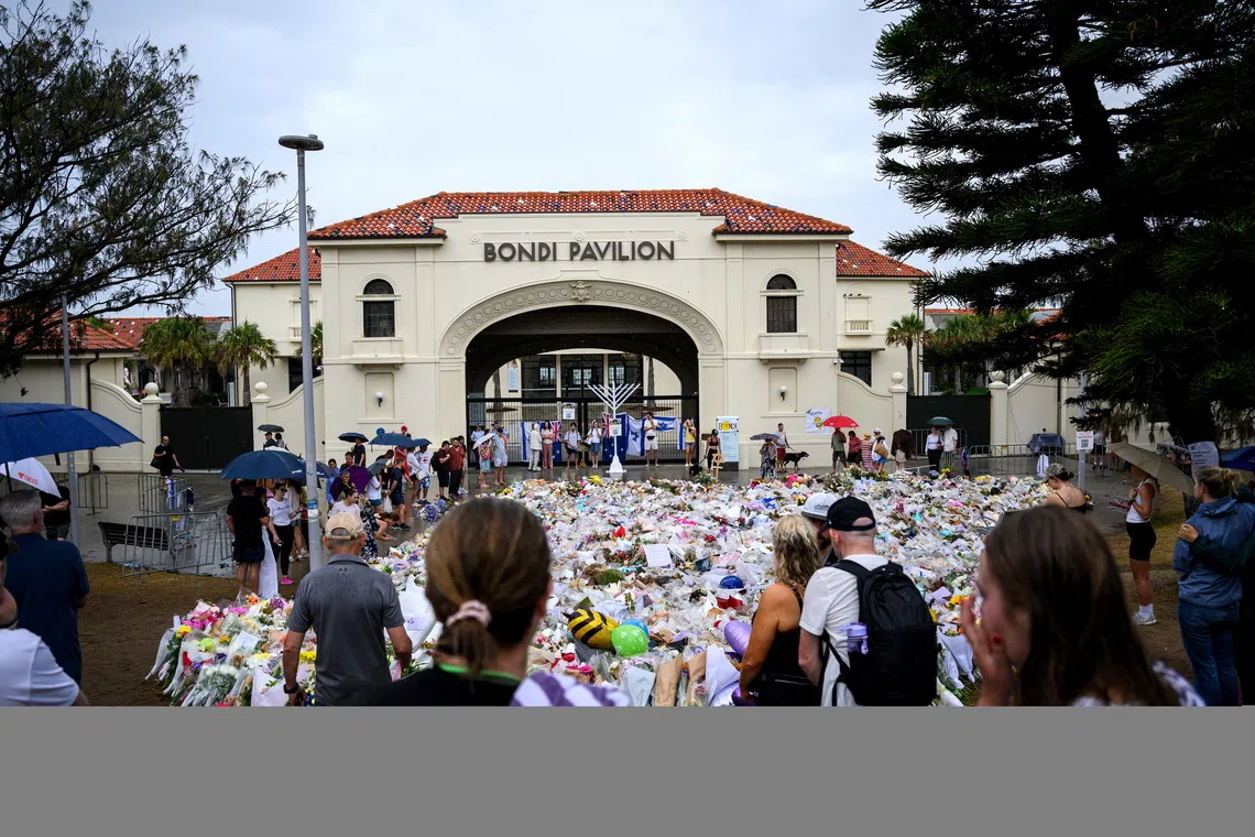Since the mass shooting, Australian institutions have moved rapidly to prioritise preventive measures.