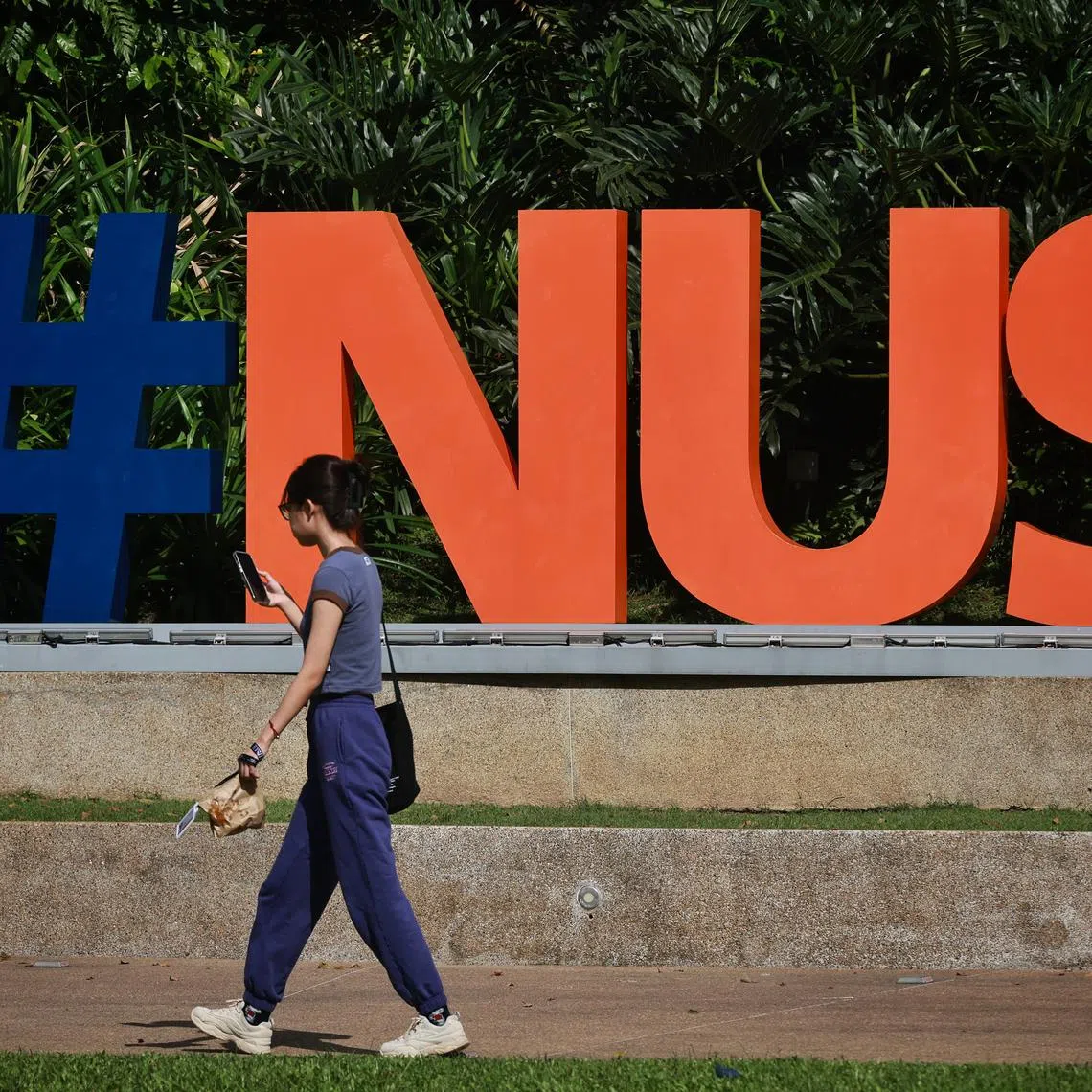 At NUS College, we want students who are passionate about learning because they are curious, because they are willing to take risks.