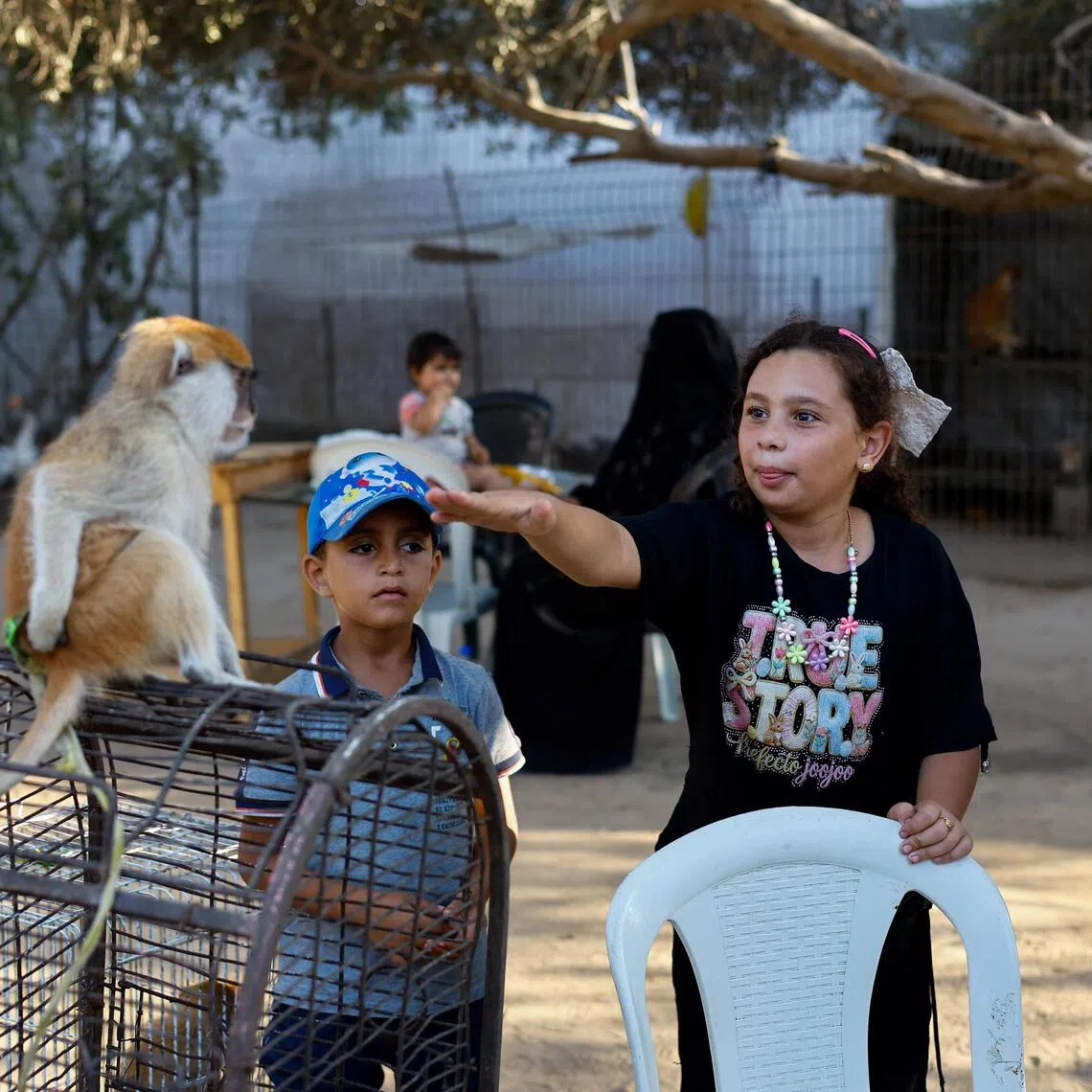 Young Palestinians stand near a monkey during a visiting to a zoo in Nuseirat, in the central Gaza Strip.