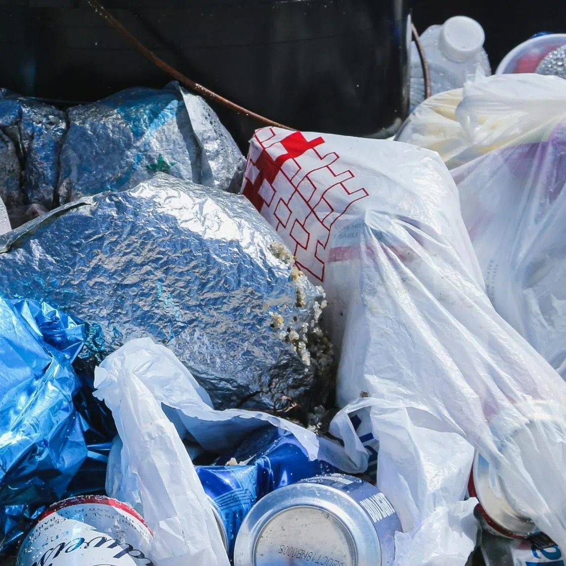 The dominant plastics in the country’s waste stream come from single-use plastic bags, PET bottles, and packaged consumer goods.
