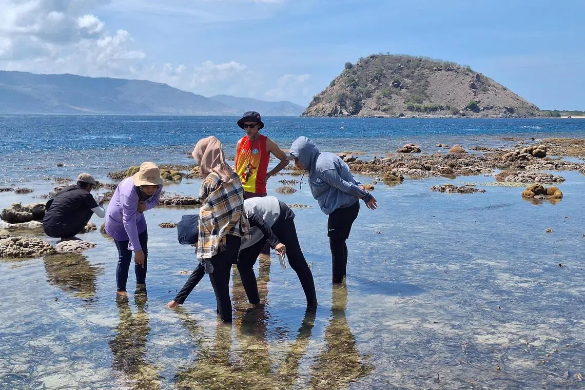Fishermen learning from volunteers how to monitor the health of corals at Gili Balu marine park in Indonesia. 