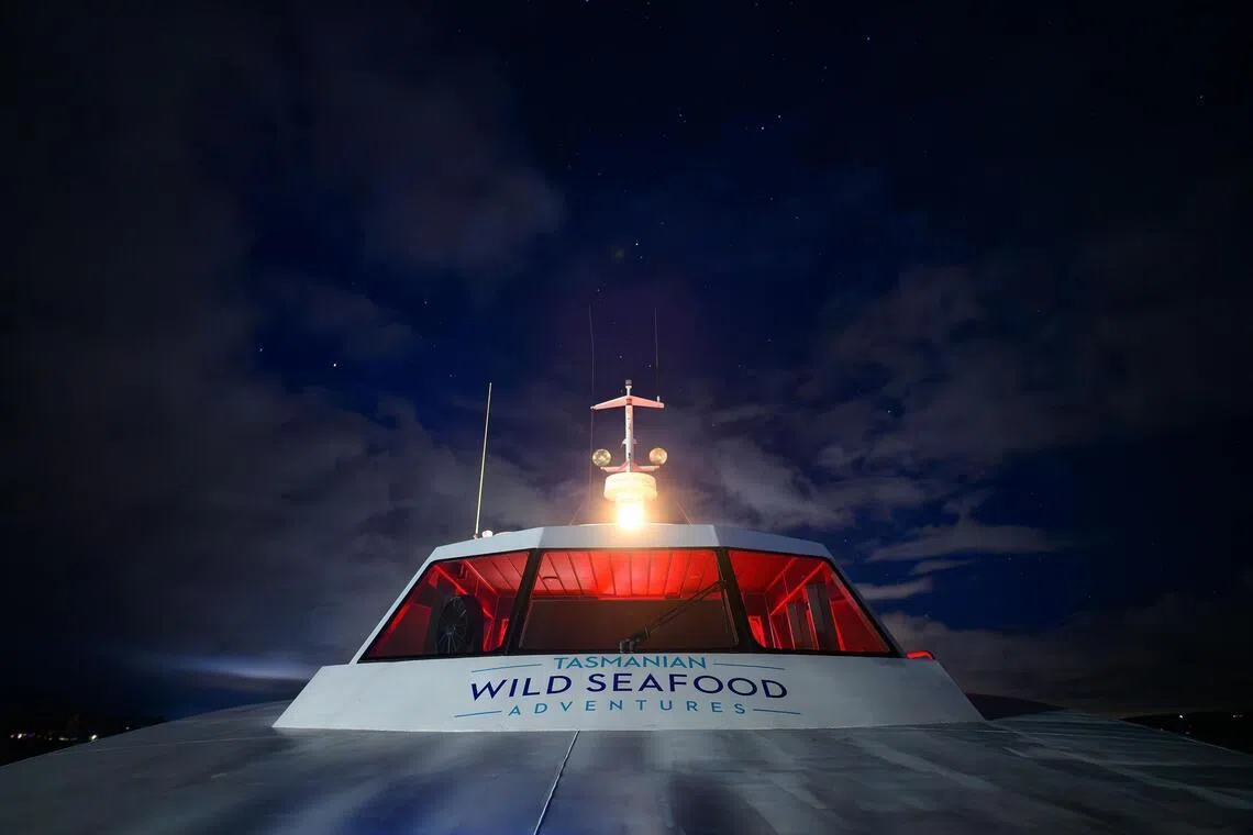 catamaran, night sky, tour, travel, australia