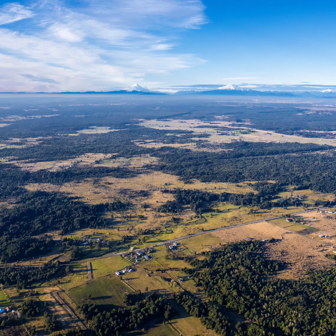 A drone view shows the Monte Verde II site, part of the Monte Verde archaeological complex, 28 km (17 miles) from the city of Puerto Montt in Chile's Los Lagos region, in this handout photo taken in July 2025 and obtained by Reuters on August 31, 2026. Jorge Guzman/Francisco Donoso/Handout via REUTERS