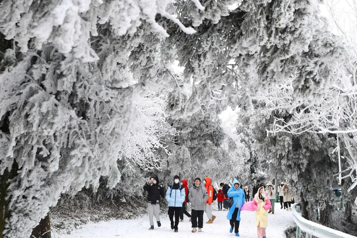 People exploring the Nanyue Hengshan Scenic Area after a snowfall in Hengyang, located in China's central Hunan province on Dec 16, 2023.
