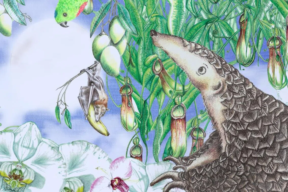 The story follows a mother pangolin Sunda and her pup Manis through a rainforest, featuring facts about the pangolin.