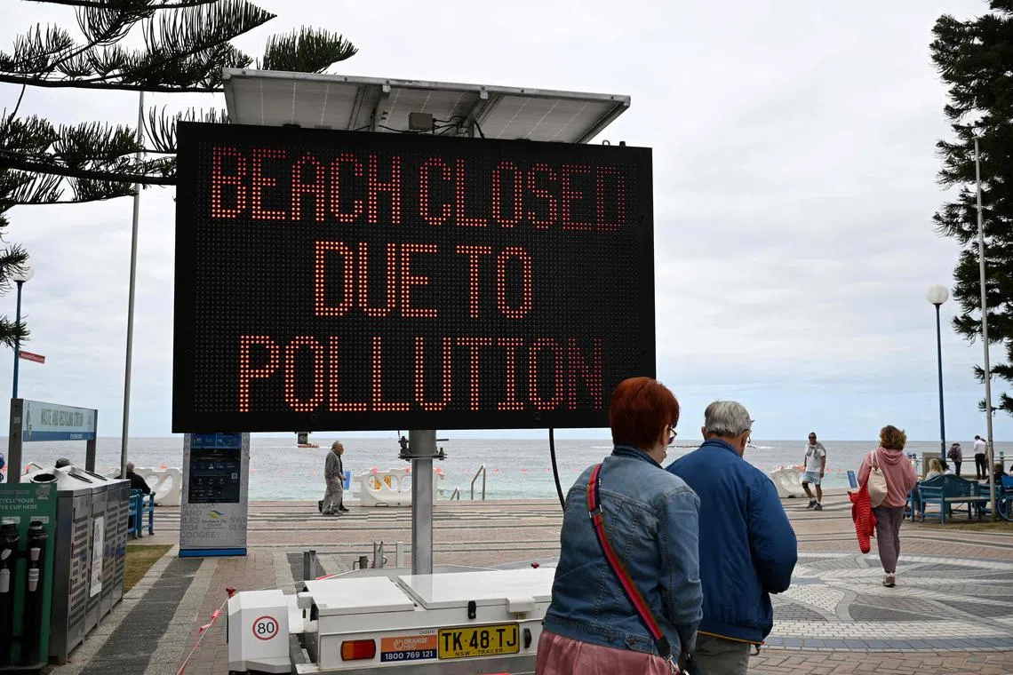 The authorities were baffled earlier this week when thousands of black spheres were found littering the shores of tourist haven Coogee Beach. 