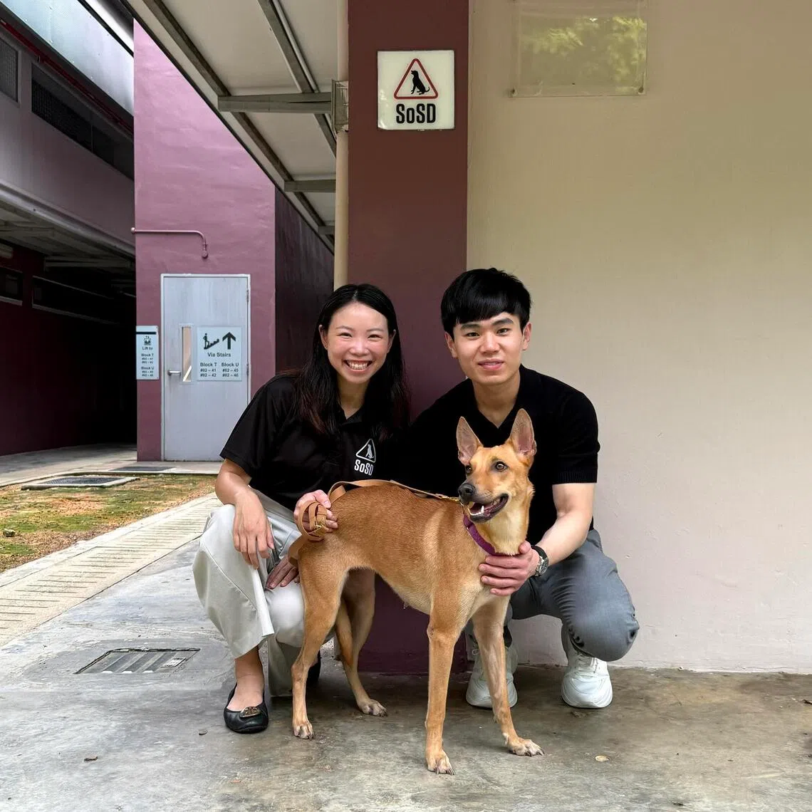 SOSD president May Ngu (left) with Dr Ian Tan, founder and medical director of V Aesthetics Holdings. The medical aesthetics group has committed S$400,000 over one year to local animal welfare charity SOSD.