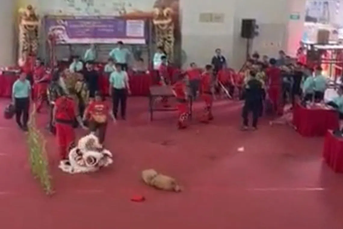The couple are reportedly the parents of one of the lion dance performers.