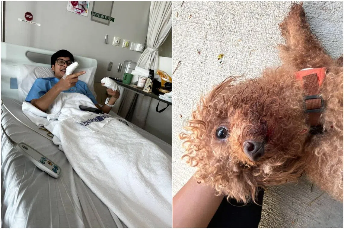 Mr Ilham Jufri received around two to three stitches on each finger on Aug 4 during a three-hour surgical procedure.