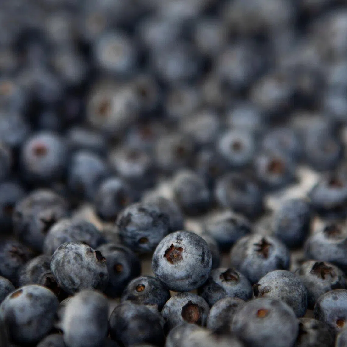 Peru is the world’s largest exporter of fresh blueberries.