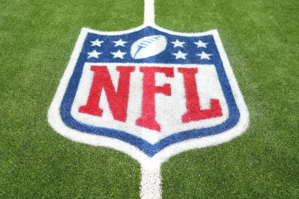 FILE PHOTO: Nov 25, 2024; Inglewood, California, USA; The NFL shield logo on the field at SoFi Stadium. Mandatory Credit: Kirby Lee-Imagn Images/File Photo