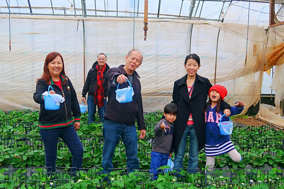 A multi-generational trip requires more resources and planning than usual, says the writer.