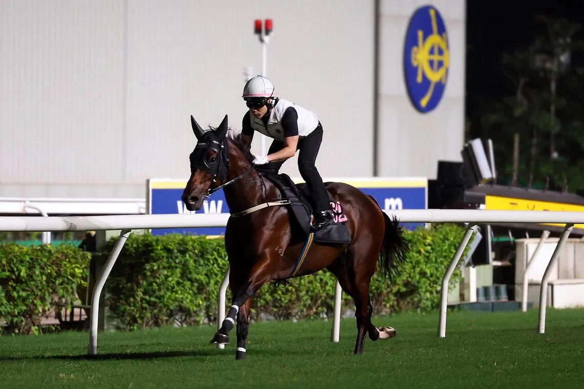 Ka Ying Rising - Ka Ying Rising and regular partner Zac Purton working smoothly at Sha Tin on Sept 18. He leaves for Sydney on Sept 20.

PHOTO:  HKJC