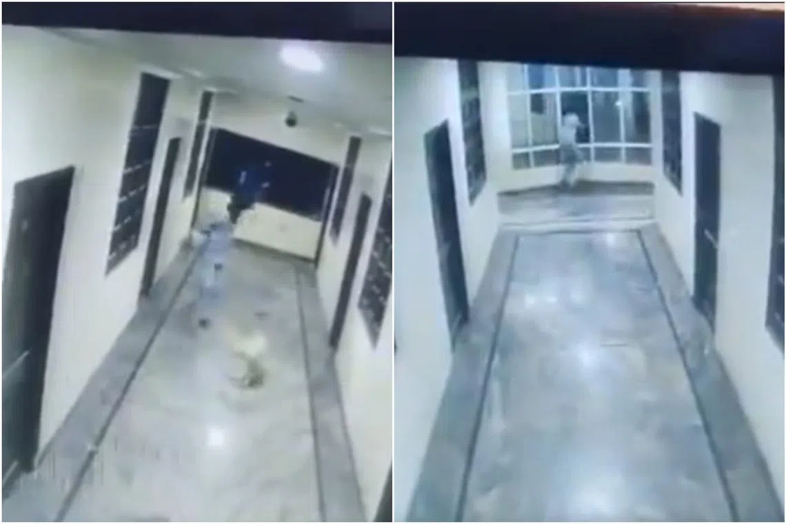 In CCTV footage of the incident released on social media, Mr Uday is seen chasing after the dog towards an open window. 