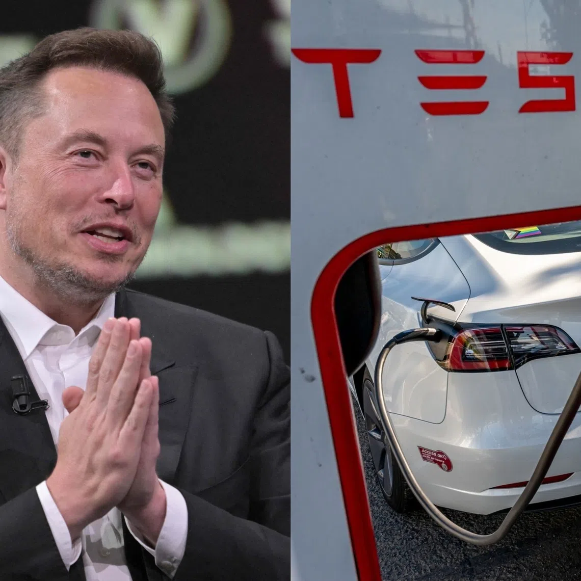 Tesla chief executive officer Elon Musk has made headlines by supporting far-right movements.