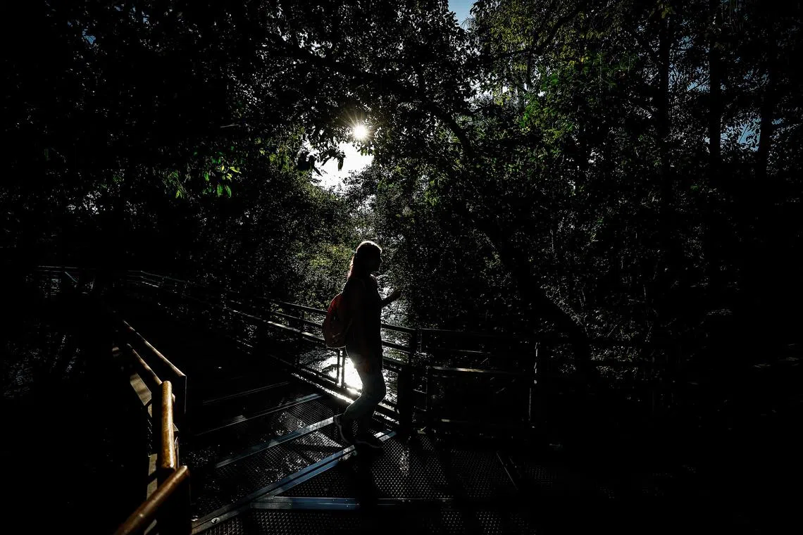 People touring the Iguazu National Park, in Puerto Iguazu, Argentina on July 02.. 