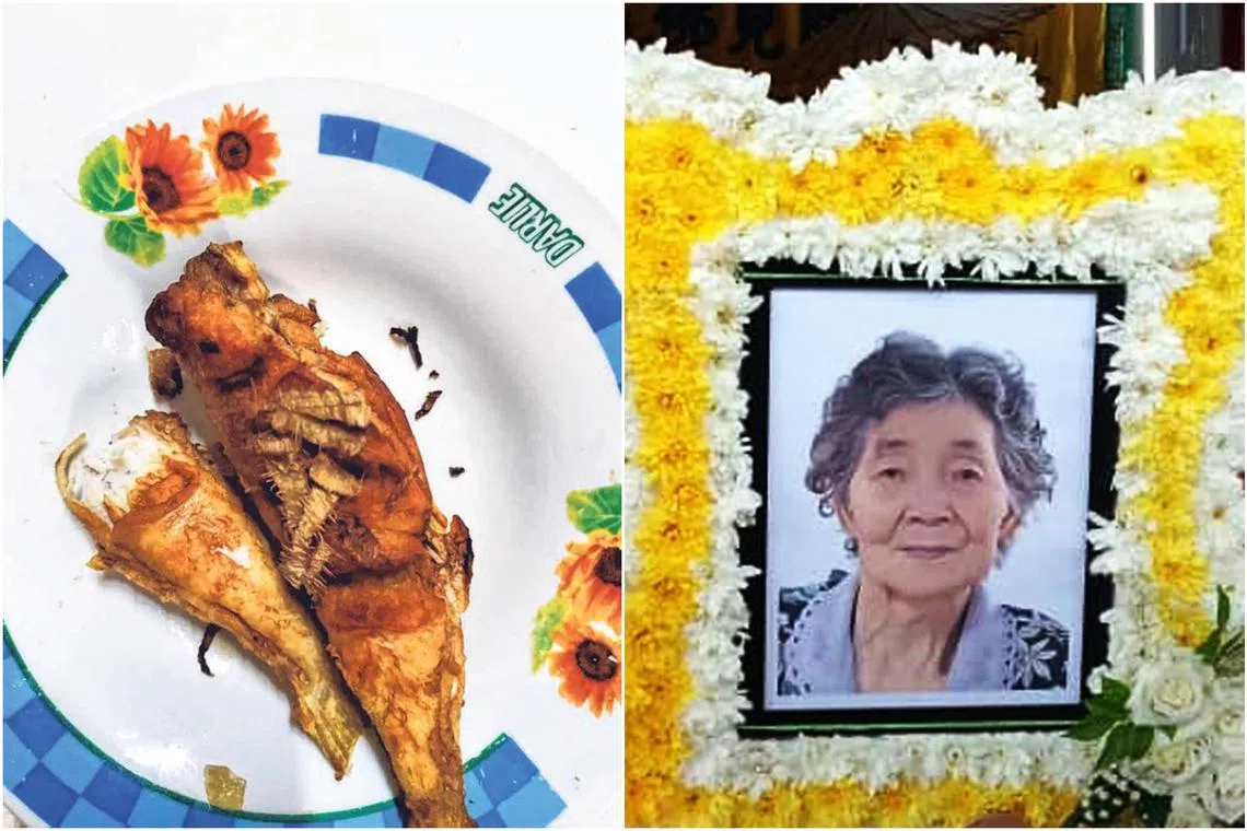 The woman, 83, died after eating pufferfish. Her husband, 84, is now in the intensive care unit.
