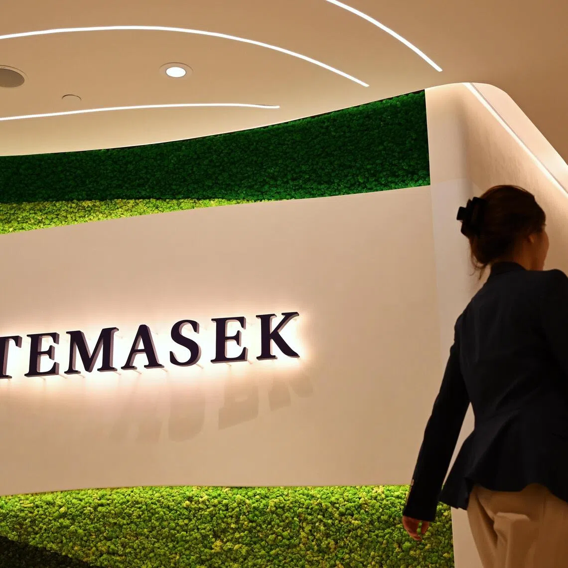 Asia Business Daily reported that Temasek plans to invest directly in the two chipmakers through its internal investment team, and is mulling timing.