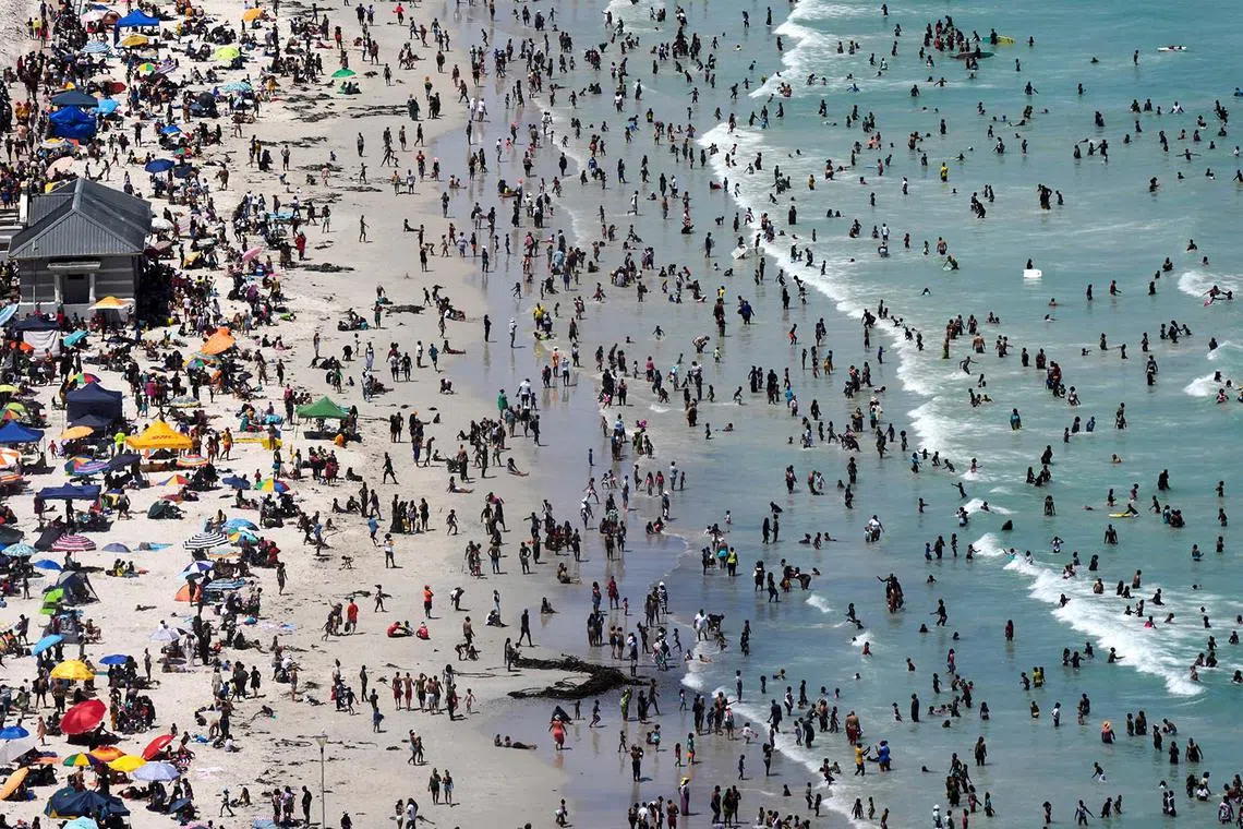People enjoy Muizenberg beach on Boxing Day in Cape Town, South Africa December 26, 2024. REUTERS/Nic Bothma