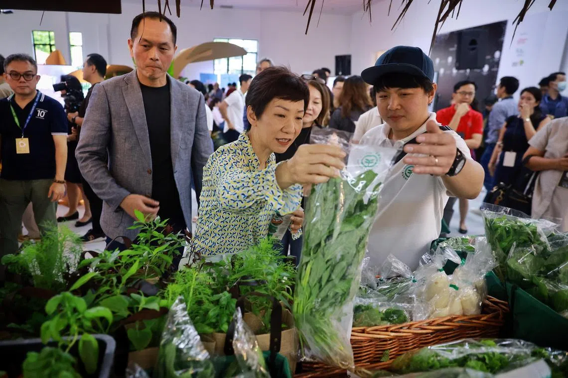 ST20230414_202396516296/jslocalfarm14/Judd Siow/Jason Quah

Minister Grace Fu viewing produce with Mr Fabian Liao (R), manager, Quan Fa Organic Farm at the Local Farm Festival at Gillman Barracks on Apr 14, 2023. Also pictured is festival director Kenny Eng (grey blazer).
//
Gillman Barracks, managed by Singapore Land Authority (SLA), will host the inaugural The Local Farm Festival 2023 by Gardenasia from 14 to 16 April 2023.