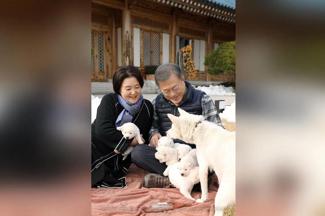 South Korea’s former president Moon Jae-in took the dogs to his personal residence after his term ended in May.