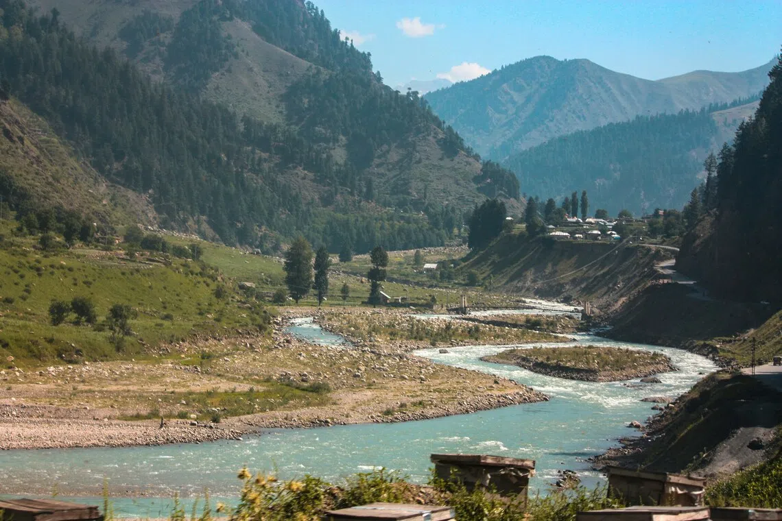 Students and teachers had stopped along a walking trail near the river in British Columbia when a grizzly bear emerged from the forest and attacked.