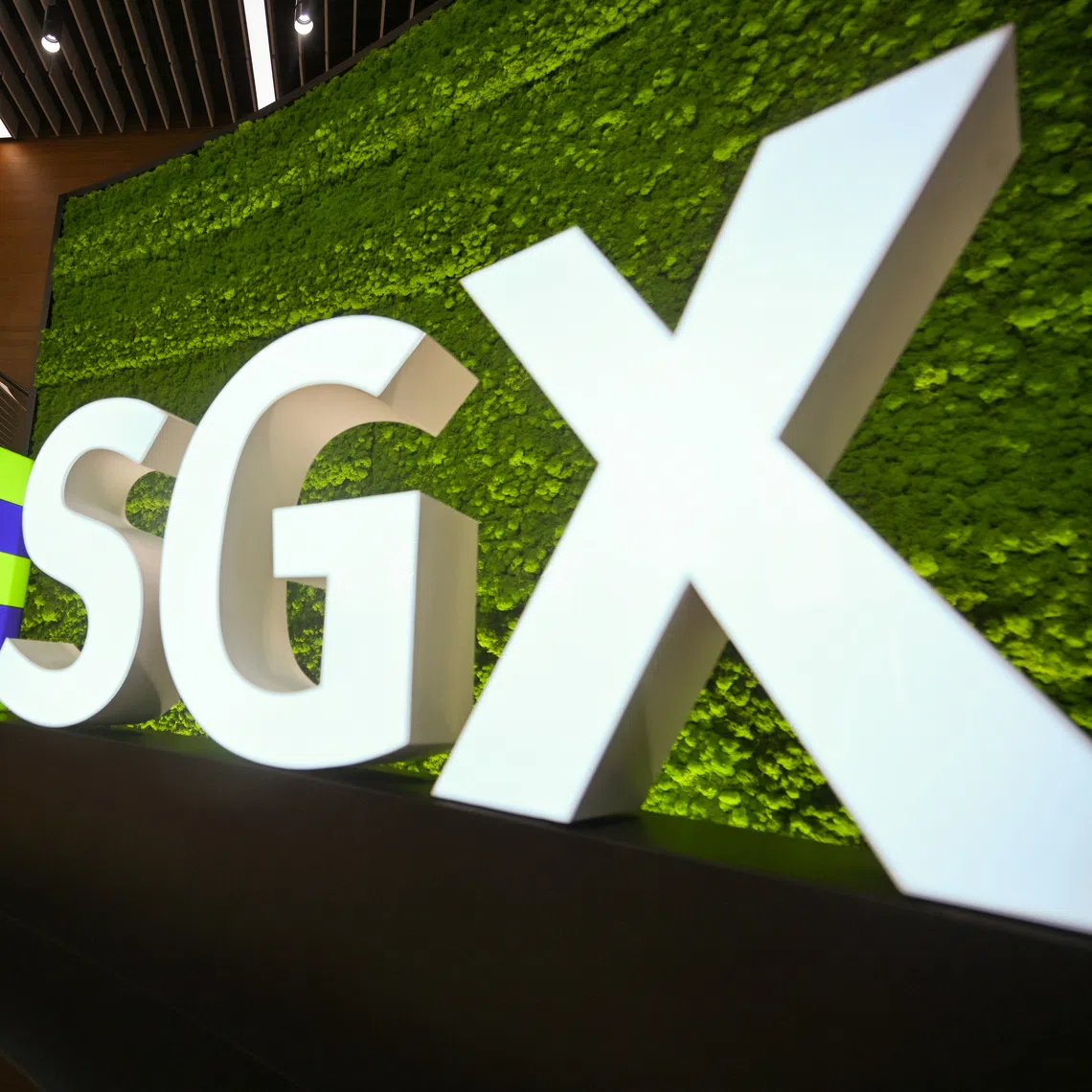 SGX also has some 50 companies in the listing pipeline.