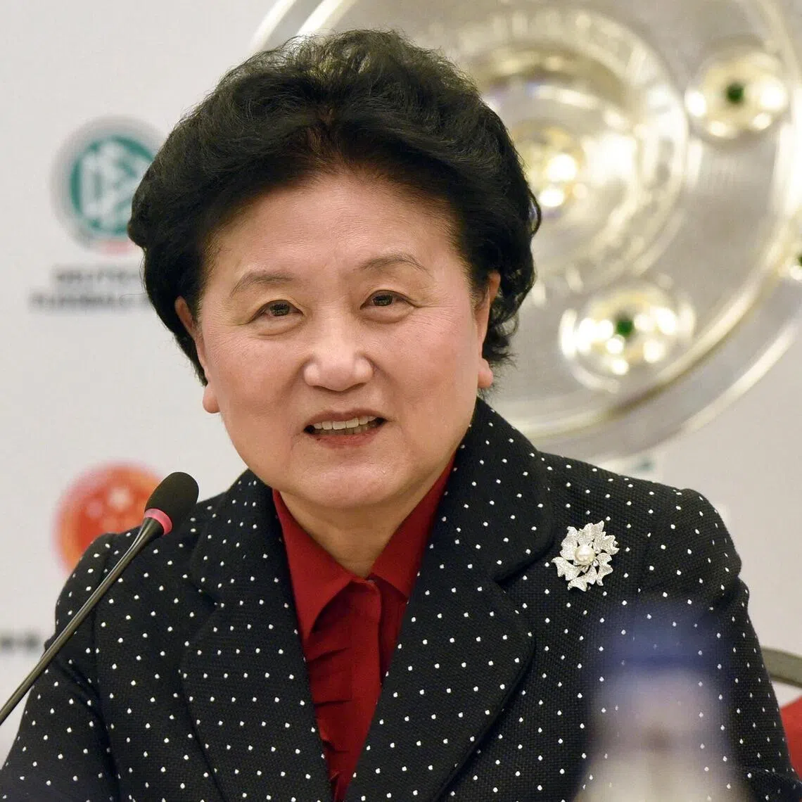 Liu Yandong had served as a member of the Political Bureau of the 17th and 18th Central Committees of the Communist Party of China.