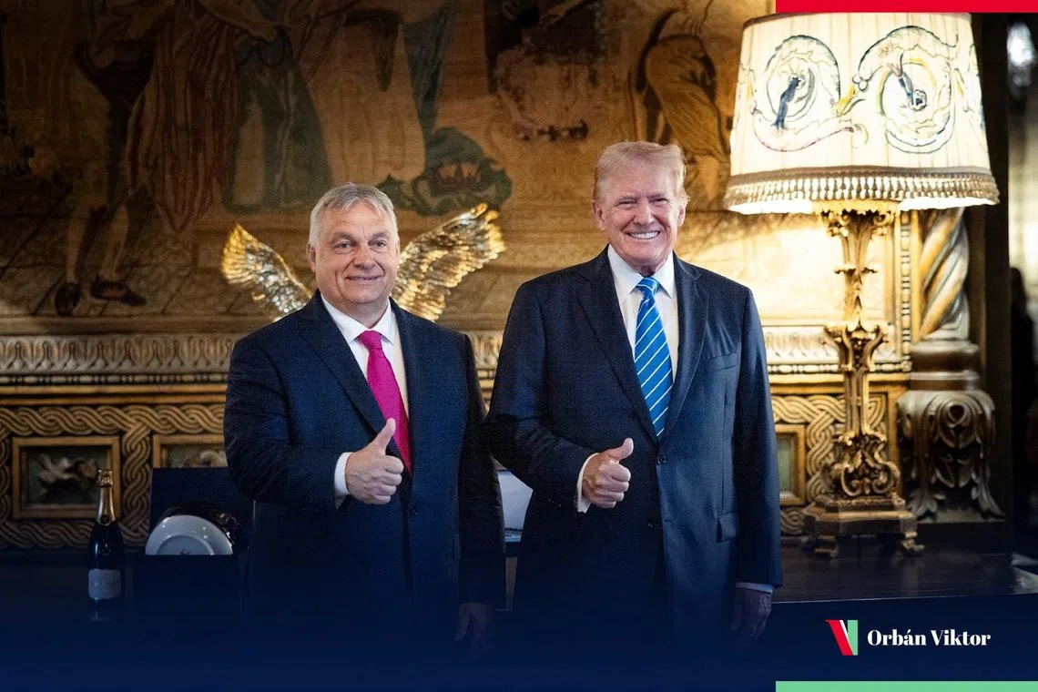 Hungarian Prime Minister Viktor Orban meets Donald Trump at Trump's Mar-a-Lago home in Florida, U.S., July 11, 2024 in this picture obtained from social media.  Viktor Orban via X/via REUTERS