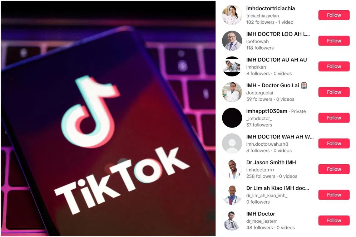 The online trolls, which have nicknames like “IMH Doctor Ang Soon Tong”, have in recent months left nuisance comments on videos.