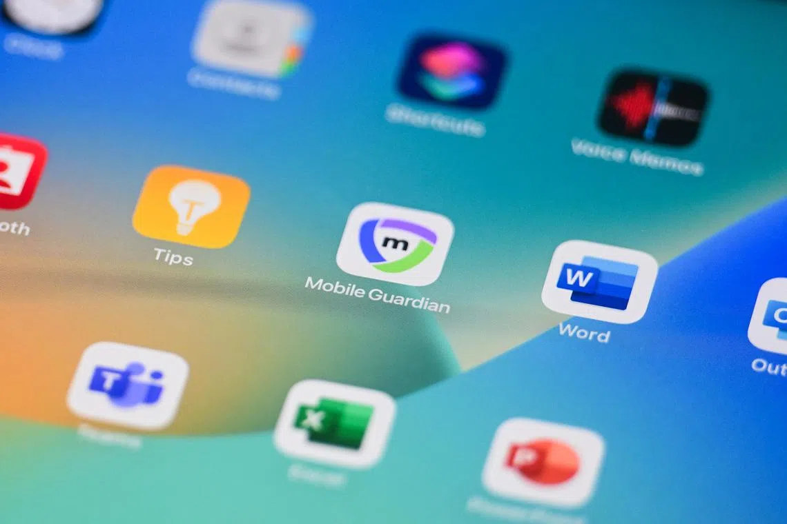 A report made by a member of the public about a potential Mobile Guardian vulnerability was investigated by the Ministry of Education, the ministry said on Aug 9. 