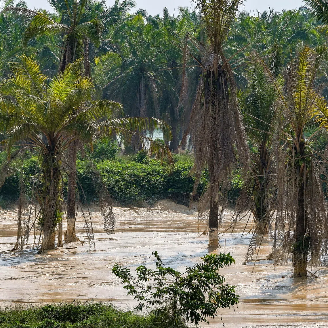 Residents surveyed by Bernama expressed concern after hundreds of fish were found dead due to the muddy water in the river.