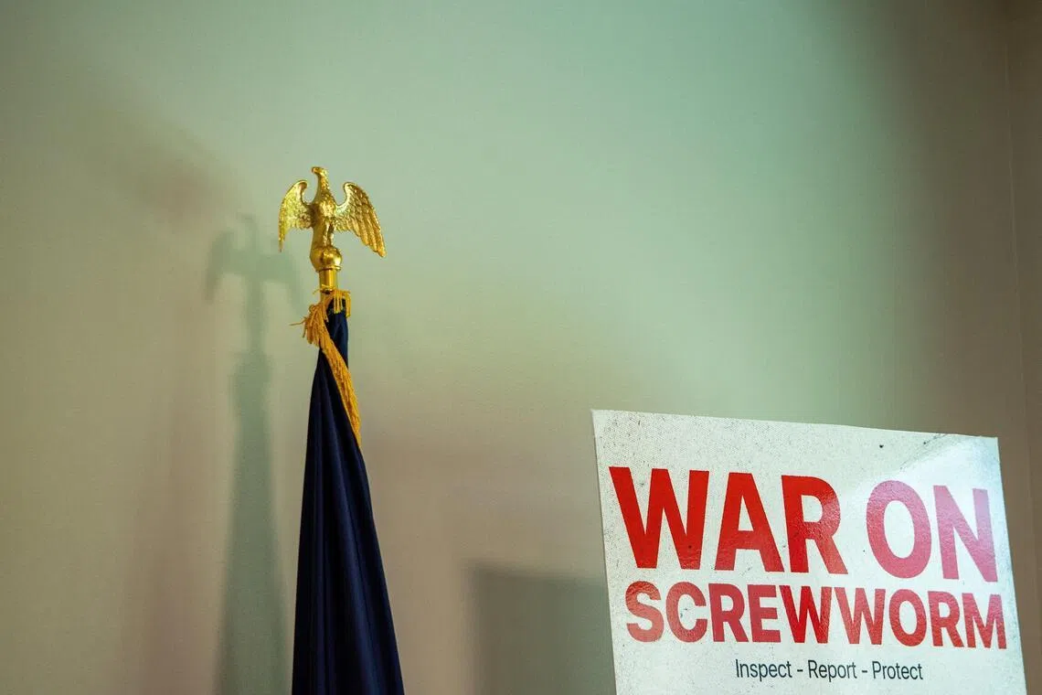 Deadly screwworm pest spreads in US with three new cases