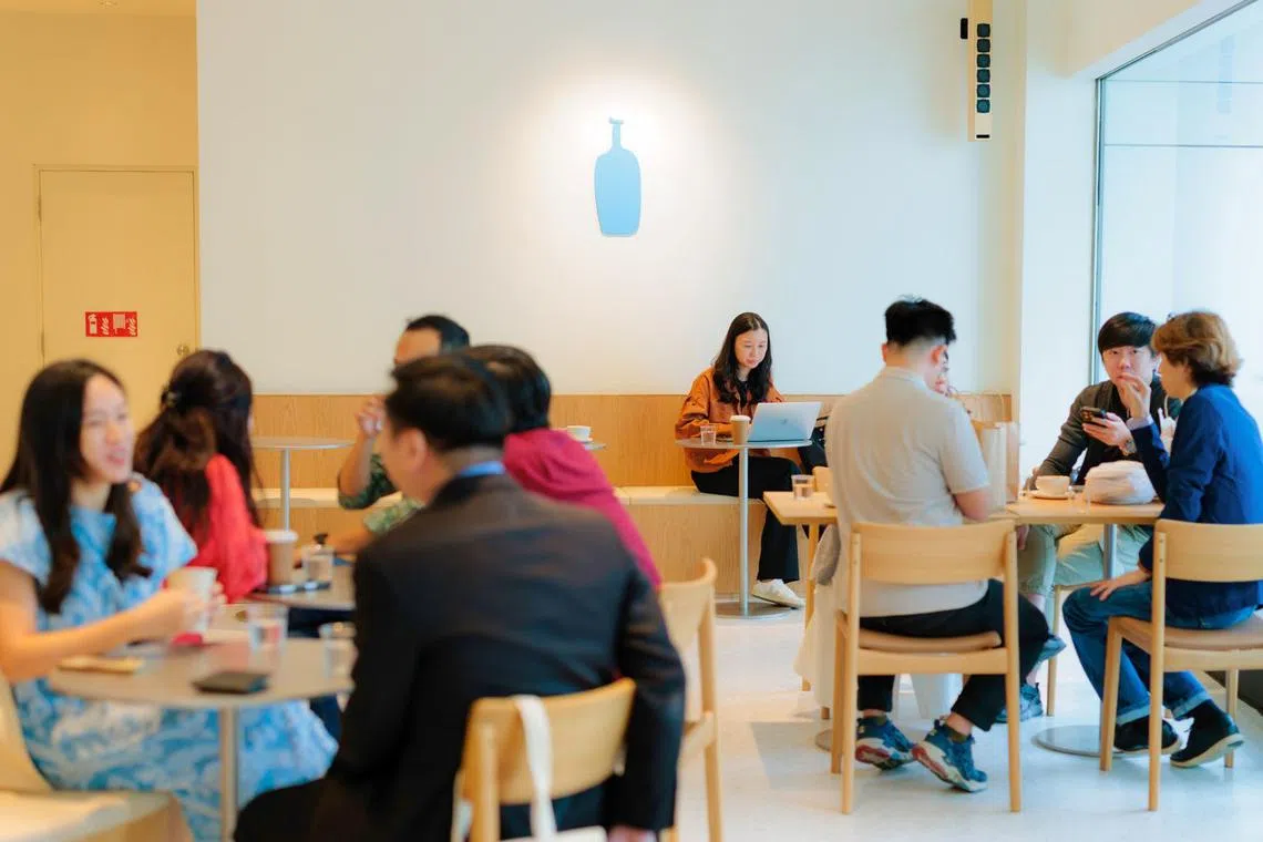 lumine-blue-bottle-coffee-raffles-city-singapore-interior