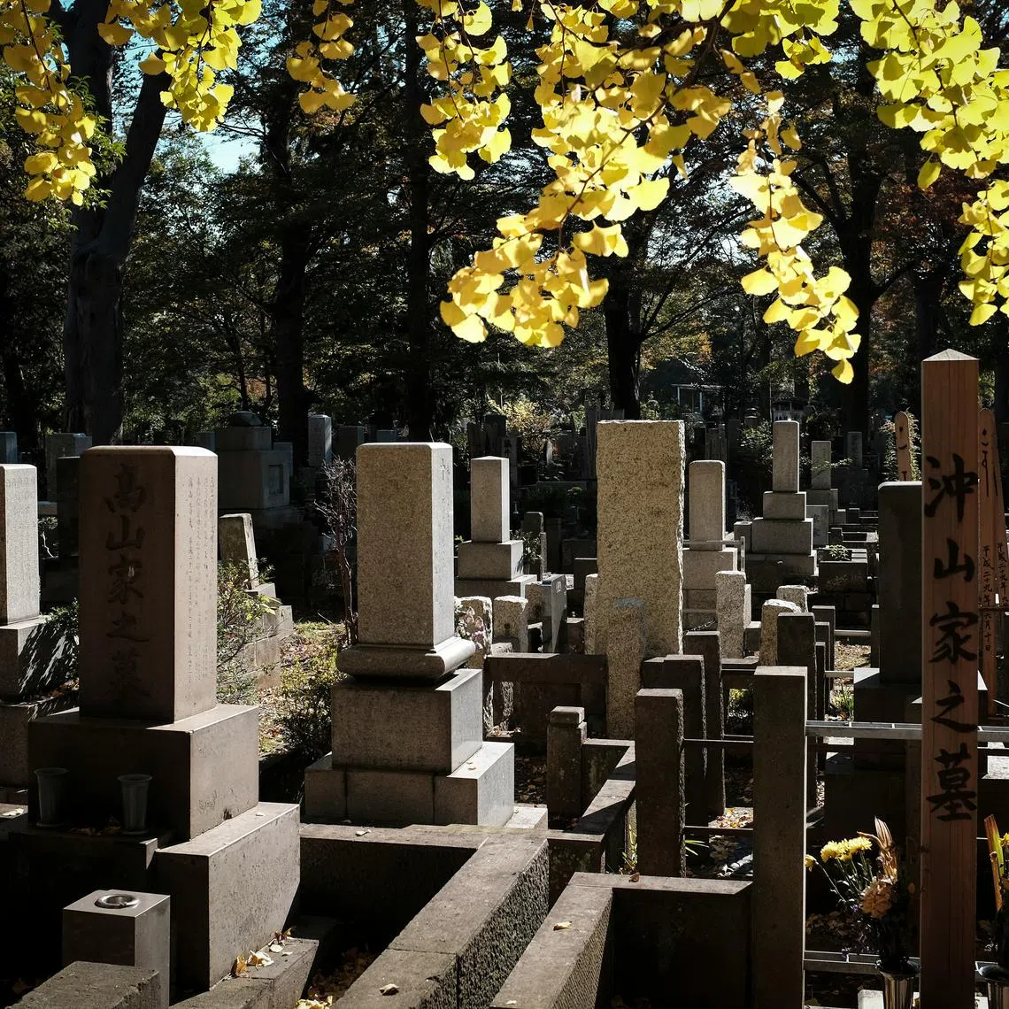 An Australian tourist had posted a clip of himself swigging from a can placed on a headstone as an offering.
